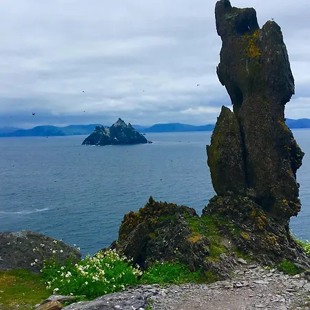 Dom wakacyjny Foxglove House