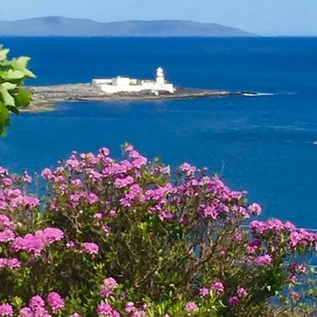 Foxglove House Dom wakacyjny *