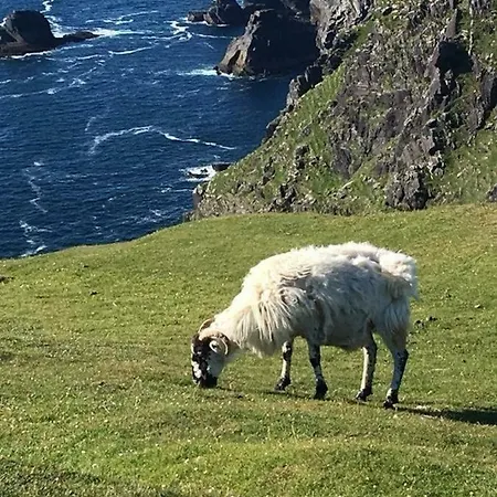 Foxglove House Dom wakacyjny *