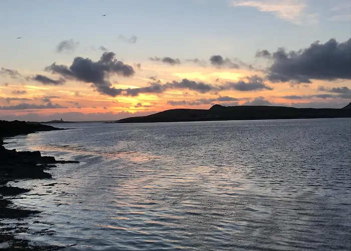 Foxglove House Knights Town