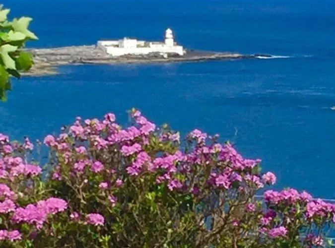 Foxglove House Feriehus *
