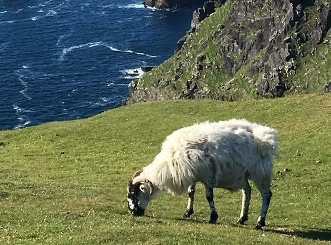 Foxglove House בית נופש *